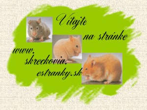 Obrázok